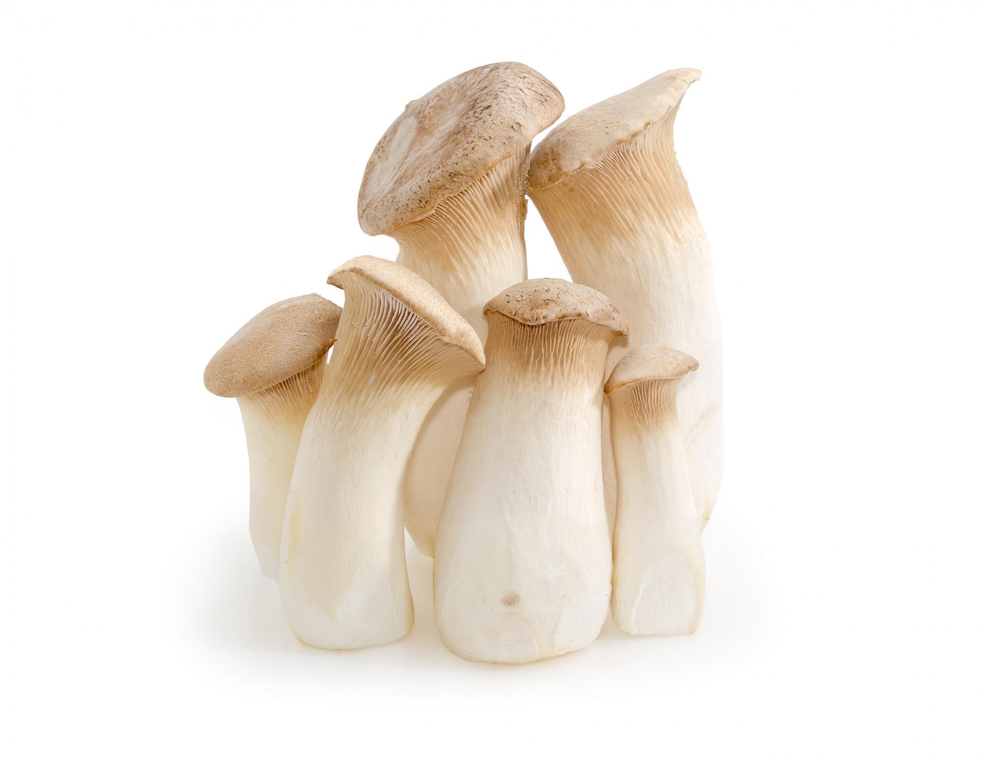 Eryngii Mushroom 200g